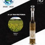 Los desafíos para reactivar el turismo en América Latina