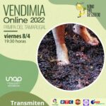 5 razones para ir a laRuta del Vino en Tarapacá, norte de Chile