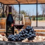 Prensa turística Iberoamericana saluda fiesta de la vendimia en el Norte de Chile