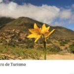 El Gobierno de México contribuye al desarrollo de los estados del sur-sureste del país 