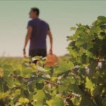 70 Aniversario Luctuoso de Frida Kahlo: Un Homenaje a la Vida y Obra de una Icono Mexicana