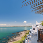 El norte del Perú será el escenario ideal para el avistamiento de ballenas jorobadas desde el próximo 14 de julio