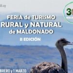 Salta y Asunción conectadas: un nuevo vuelo internacional para impulsar el turismo