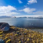 Reinauguran el Hotel Princess Acapulco: Un Símbolo de Resiliencia y Grandeza