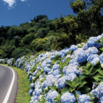 ONU Turismo y la Università della Svizzera Italiana se asocian para incorporar la moda al turismo cultural