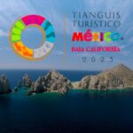 Amadeus y Google: La alianza tecnológica que podría revolucionar al turismo