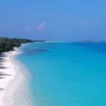 FIPETUR y ADOMPRETUR reconocen labor del ministro de Turismo de República Dominicana, David Collado