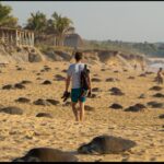 Madrid apuesta por fortalecer su presencia en el mercado latinoamericano y brasileño, con especial interés en México y Perú