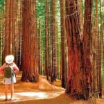 FIPETUR celebra el turismo que mueve la economía y une países con responsabilidad