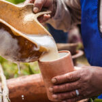 Pisco peruano: la esencia de la vid, una bebida con denominación de origen