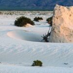 Ourense bajo la lupa internacional: El Dr. Mike Wahl investiga los secretos de la longevidad gallega para un exitoso programa canadiense