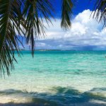 La presidenta de FIPETUR, Yenny Polanco Lovera, es nombrada Novicia de la Orden del Camino de Santiago