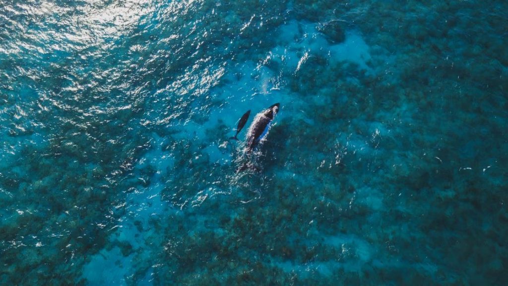Puerto Rico reporta crecimiento récord en turismo